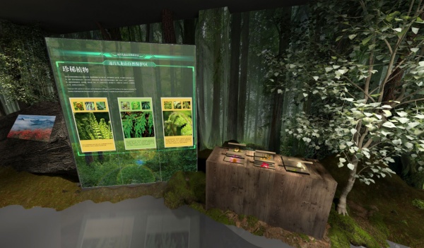 自然景區(qū)展廳設(shè)計