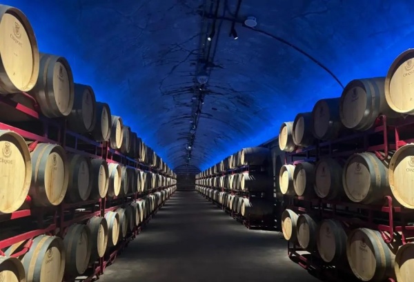 酒文化博物館設(shè)計(jì)