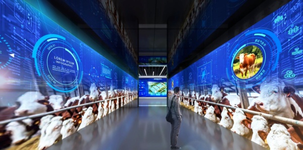 肉牛產(chǎn)業(yè)展廳設(shè)計